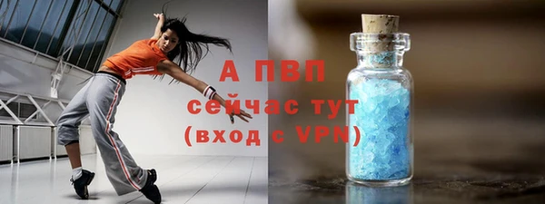 ГАЛЛЮЦИНОГЕННЫЕ ГРИБЫ Верея