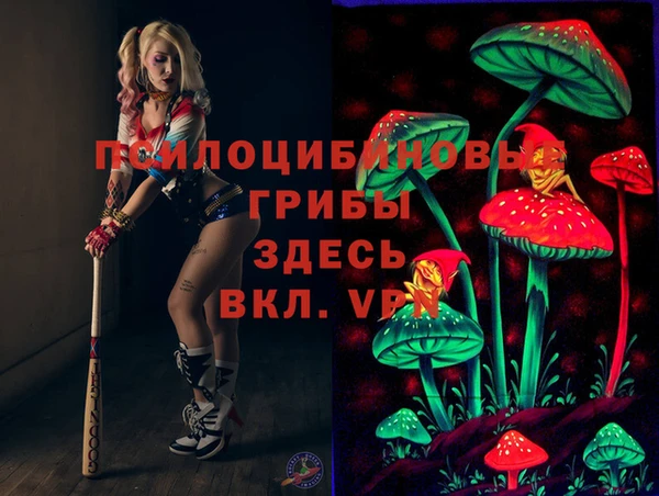 PSILOCYBIN Верхний Тагил