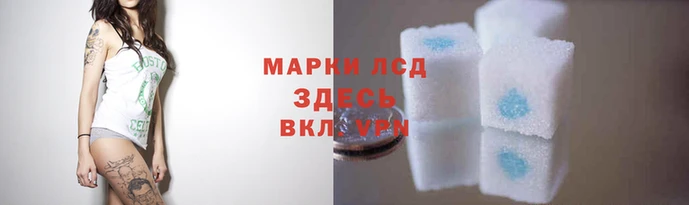 твердый Надым