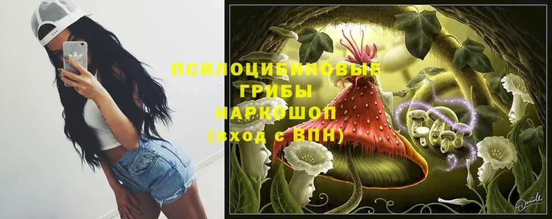 Псилоцибиновые грибы Magic Shrooms  omg ССЫЛКА  Ревда  как найти  