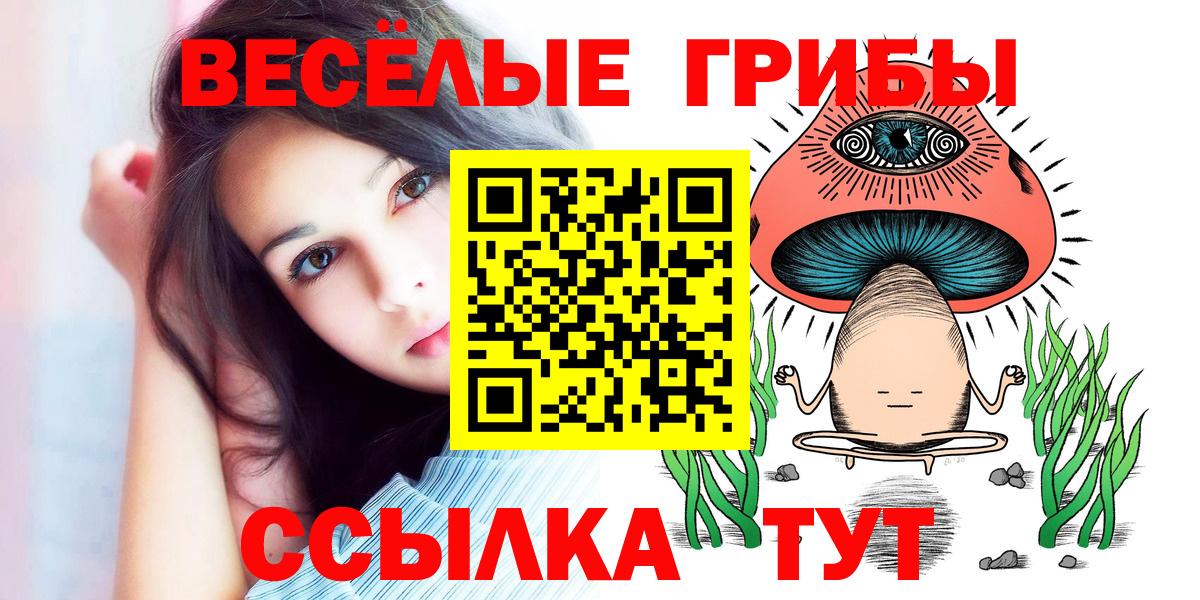 наркотики  Галлюциногенные грибы Cubensis  Вход с VPN  Ревда 