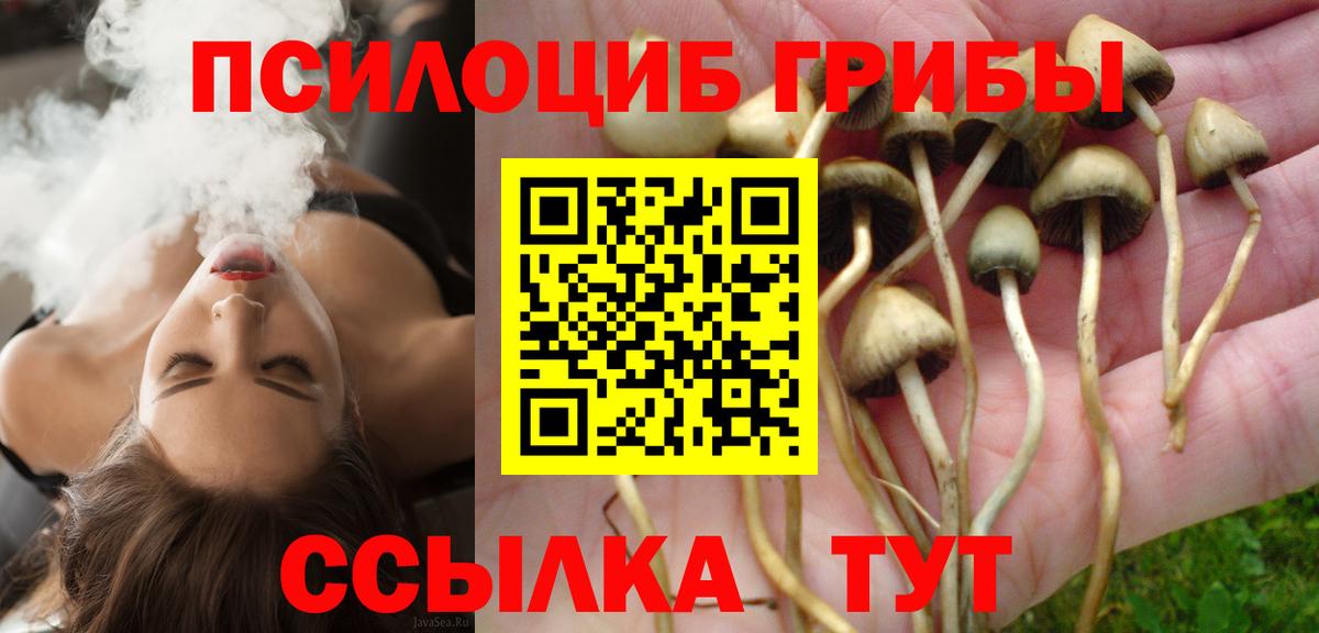 Псилоцибиновые грибы Cubensis Ревда